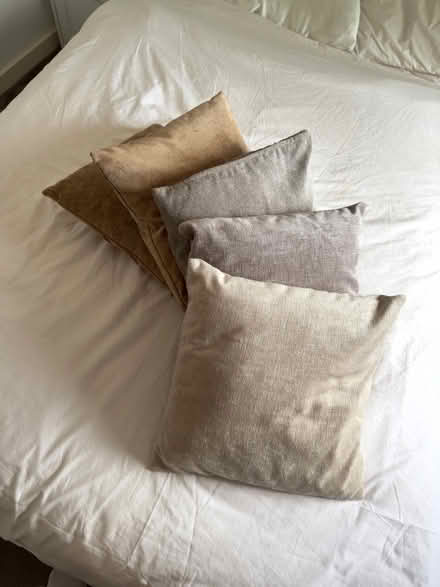 Photo of free 5 cushions (Penkridge ST19) #1