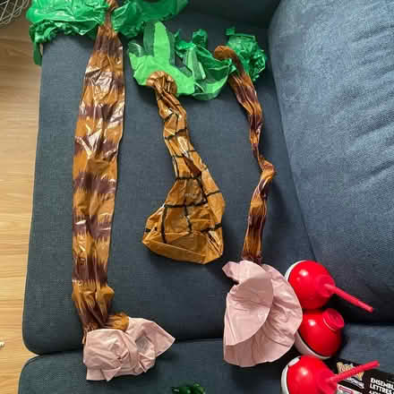 Photo of free Random party supplies (Columbia) #4