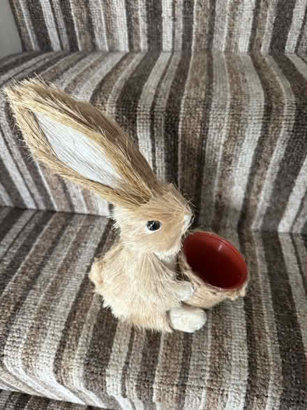 Photo of free Rabbit Plant Pot (RM14) #1