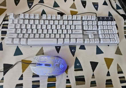 Photo of free Gaming keyboard and mouse (Maidenhead SL6) #1