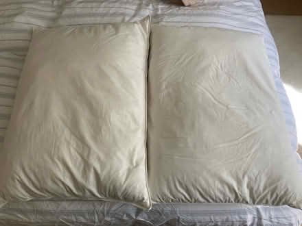 Photo of free Two clean, washed feather pillows (GL5) #1