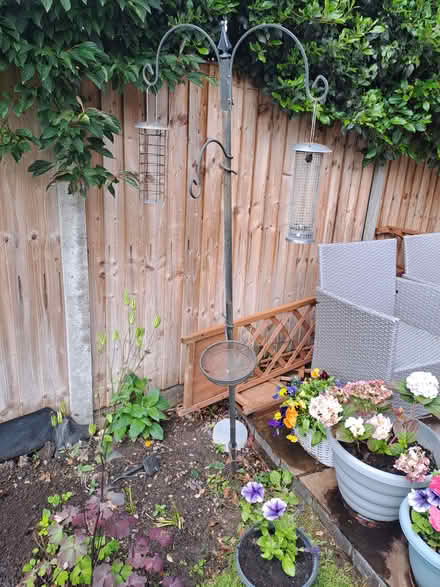 Photo of free Bird feed hanger (SY3) #1