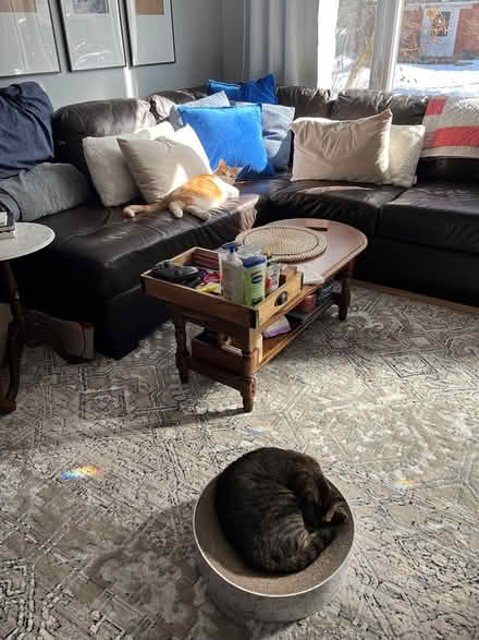 Photo of free Brown pleather couch (Kanata/Stittsville) #1