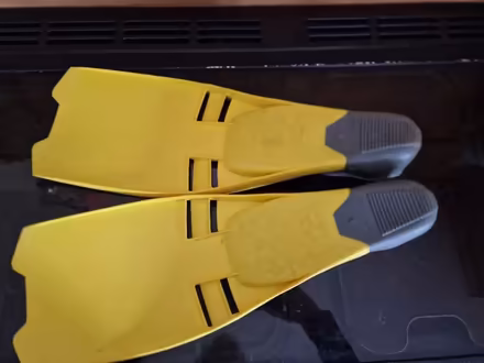Photo of free Yellow Flippers (Horsley GL6) #2