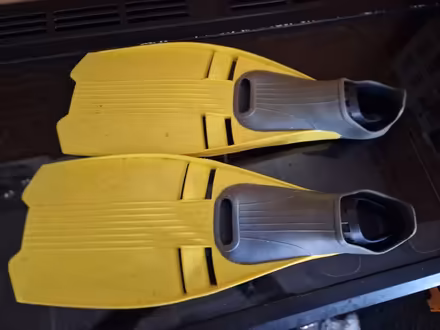 Photo of free Yellow Flippers (Horsley GL6) #1