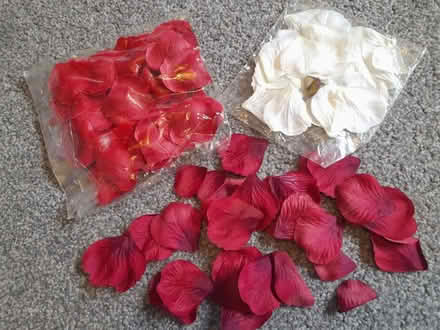 Photo of free Flower arranging and craft supplies (Kingston Park NE3) #3