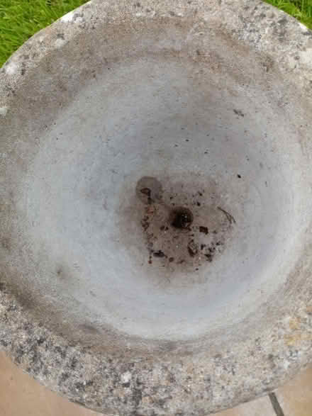 Photo of free Cement Planter (Aylesford Common ME5) #3