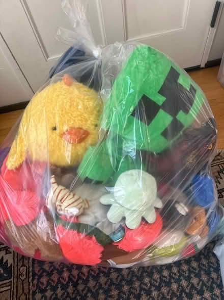 Photo of free Stuffed Animals toys 4 kids (Forest Hills, Queens) #1