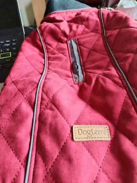 Photo of free m size dog coat new (Hampden Park BN22) #1