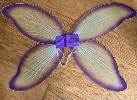 Photo of free Fairy wings (Cirencester) #1