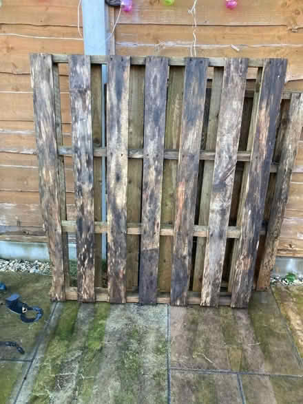 Photo of free Pallet (Timperley WA15) #1