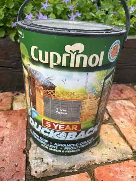 Photo of free 5L Cuprinol Shed/Fence paint (BR3 Beckenham/Penge) #1