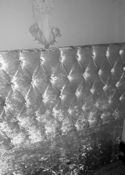 Photo of free Velour double bed ..see notes (Beeston LS11) #1