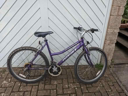 Photo of free Ladies bike (Uplands, Stroud)