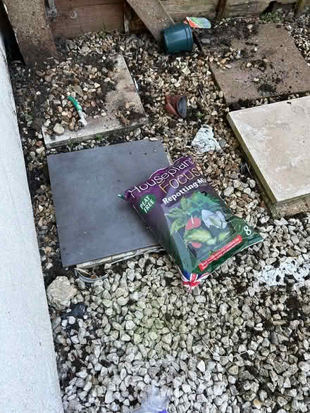 Photo of free House plant soil (Peacehaven) #1