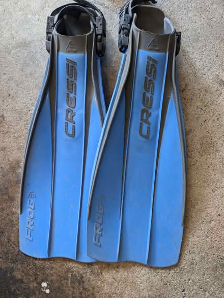 Photo of free Cressi-Sub Dive/Scuba Fins (Allendale NJ) #1