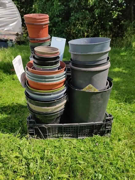 Photo of free Lots of plants pots (Cheddington, LU7) #1