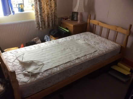Photo of free Pine single bed and chest of drawers (Radbrook Green SY3) #1