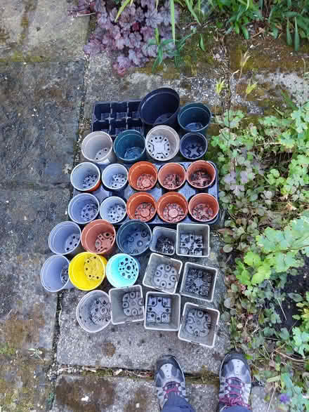 Photo of free Plastic plant pots - various (Hale Village L24.) #1