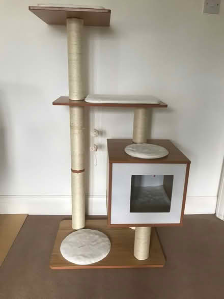 Photo of free Cat tower (Kew TW9) #4