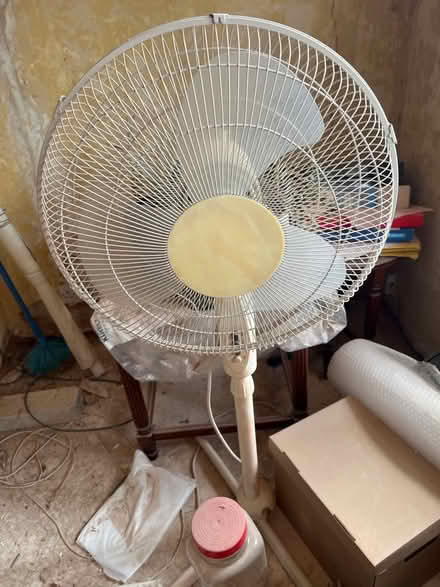 Photo of free Fan (Handsworth Wood) #1