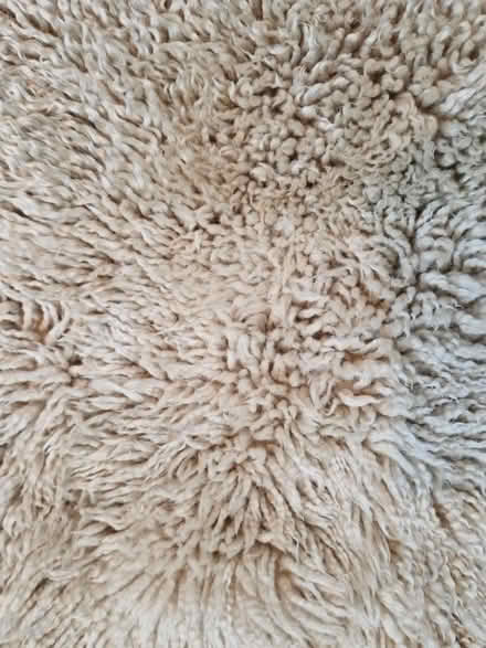 Photo of free Sheepskin rug (Tooting SW17) #1