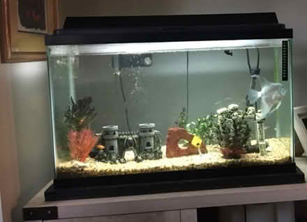 Photo of free Fish tank (Port Credit) #1