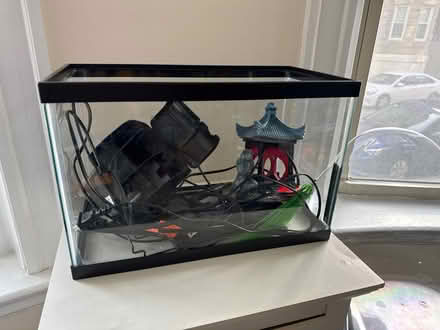 Photo of free Fish tank (plastic), heater, filter (Allston MA) #1