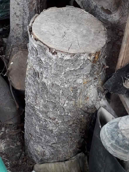 Photo of free Wood (Northway OX3) #1
