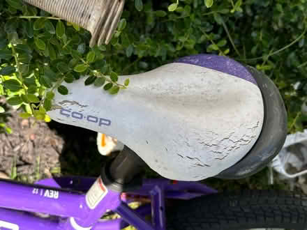 Photo of free REI Coop bike with training wheels (Robbinsville, NJ) #3