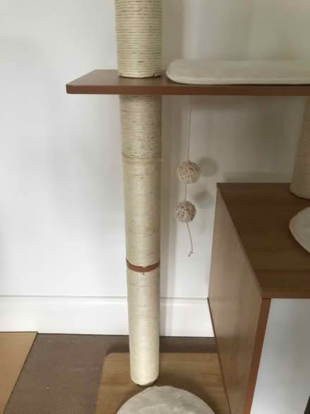 Photo of free Cat tower (Kew TW9) #3