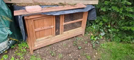 Photo of free Rabbit/Guinee Pig Hutch (Markyate AL3) #1