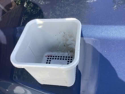 Photo of free Cutlery drainer (Braughing SG11) #1