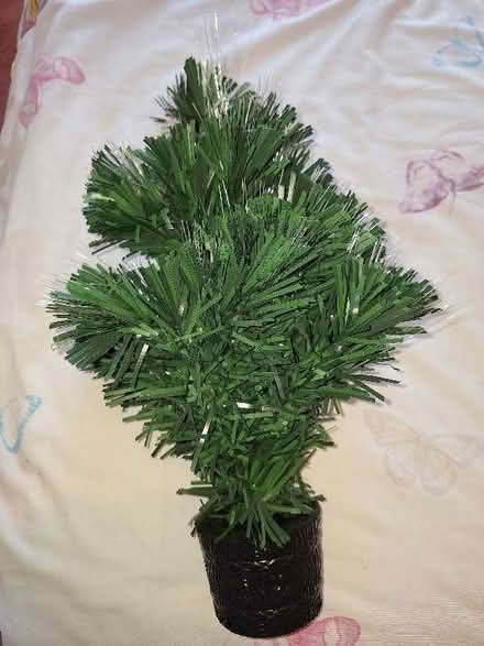 Photo of free Table top light up tree (Worcester Park KT4) #1