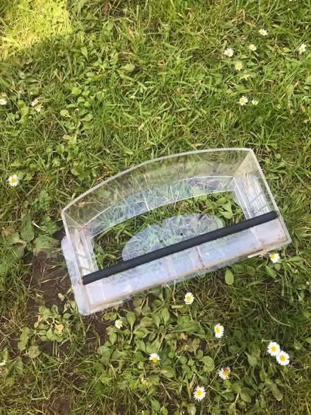 Photo of free Transparent bird feeder (PR6) #2