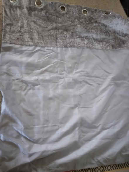 Photo of free Pair of eyelet curtains (Kennington OX1) #1