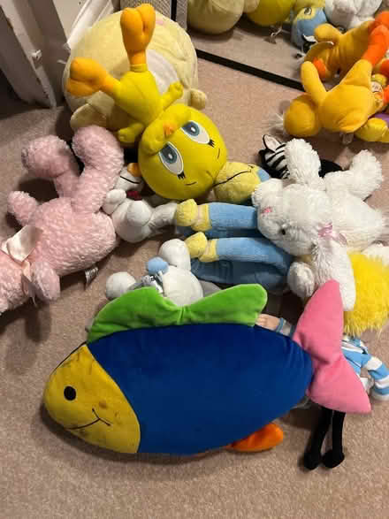 Photo of free Bunch of soft toys (Isleworth TW7) #1