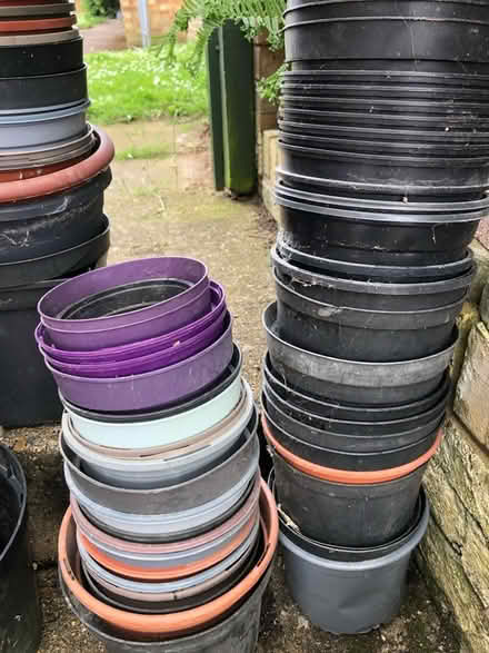 Photo of free Mix of used plastic flower pots (Hertford SG14) #2