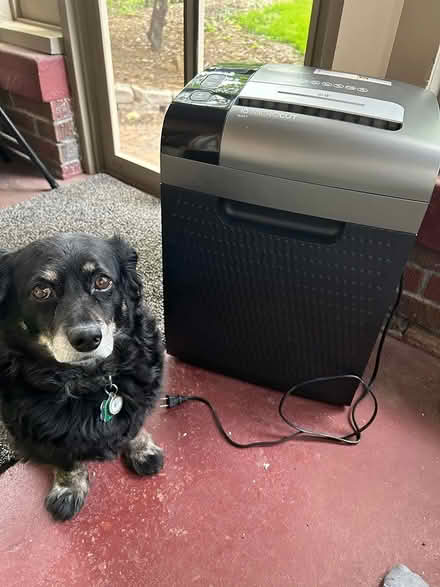 Photo of free Paper Shredder (Bryn Mawr) #1