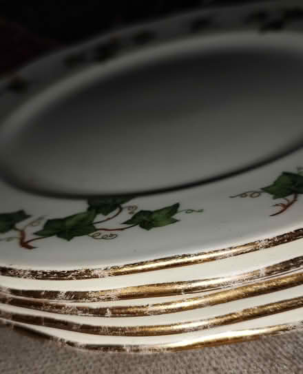 Photo of free 16 bone china dinner plates (L20) #1