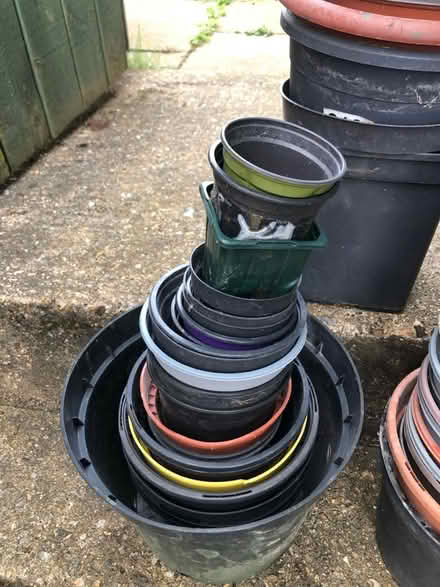 Photo of free Mix of used plastic flower pots (Hertford SG14) #1