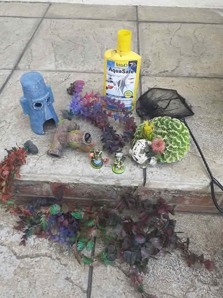 Photo of free Tropical fish Oriments (LS18 Horsforth) #1