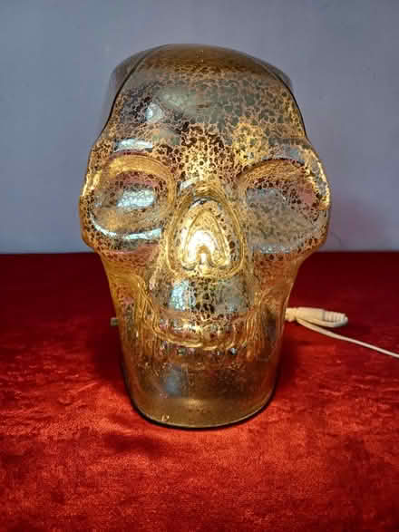 Photo of free Glass skull light (Bushey North WD23) #1