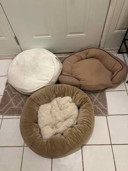 Photo of free Small/medium dog beds (Sunrise) #1
