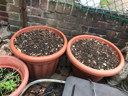 Photo of free Lots of big flower pots (Selsdon) #3