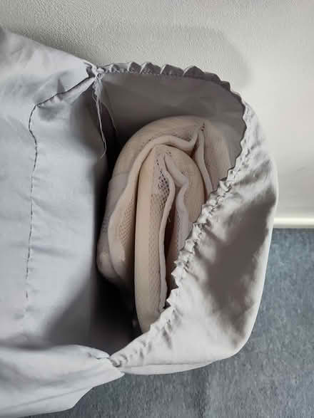 Photo of free Travel cot (Near Waitrose) #2