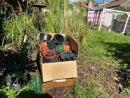 Photo of free Plant pots (Corston) #1