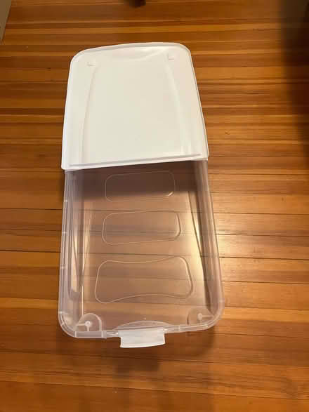 Photo of free Underbed plastic storage container (West Somerville) #2