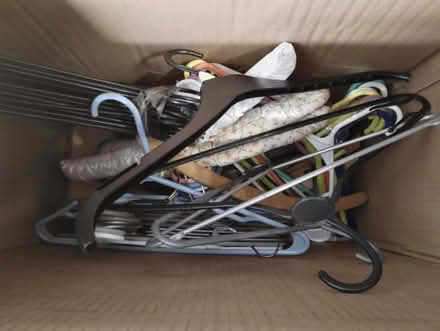Photo of free Coat hangers (Tividale B69) #1