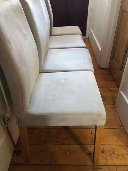 Photo of free Set of 4 Habitat chairs (N15) #4